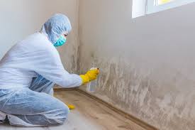 Best Residential Mold Inspection & Testing in St John, IN