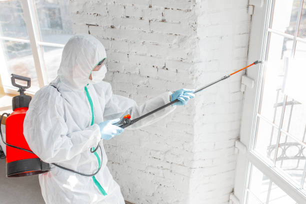  St John, IN Mold Removal Pros